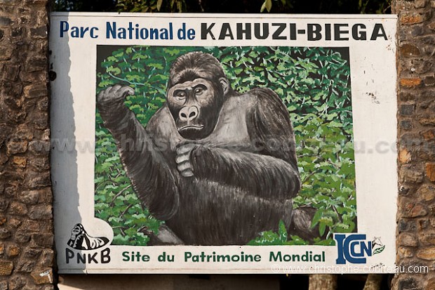 Kahuzi-Biega National Parc, DRC.