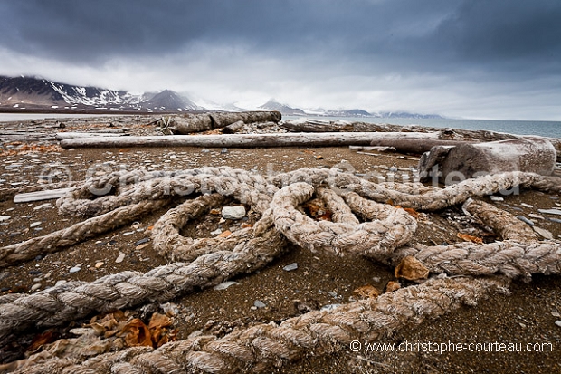 Wood & Marine Ropes washed on shore