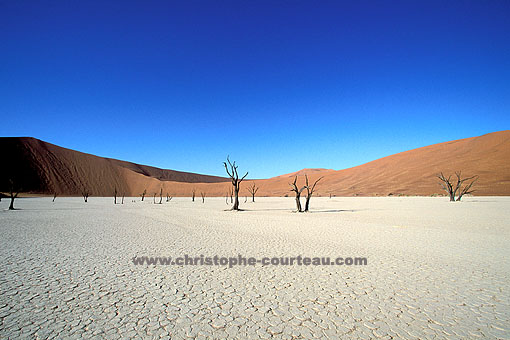 Dead Vlei - Namib National Park