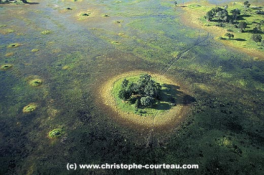 le du delta de l'Okavango / Botswana