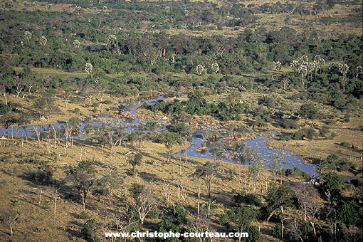 Delta de l'Okavango à la fin de la saison des pluies