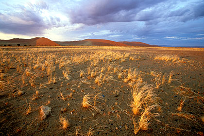 Parc National Namib-Naukluft.