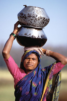 Femme indienne, transport de l'eau pour la cuisine