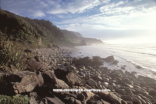 Westland - South Island / Tasman Sea