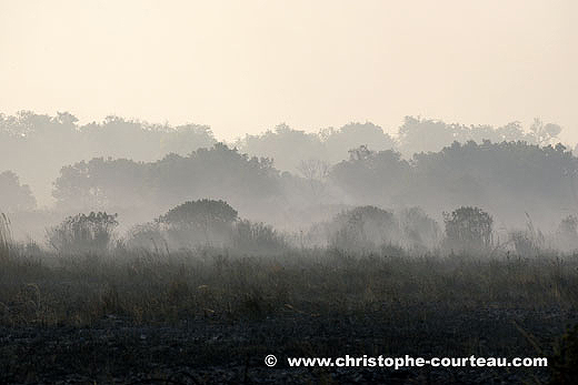 Smoke on an Okavango Delta Channel after Bush Fire