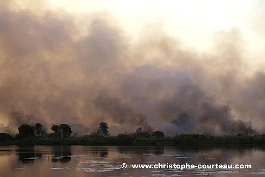 Feu de brousse naturel dans le Delta de l'Okavango