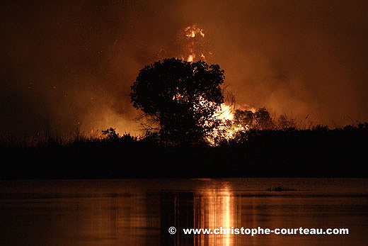 Bush Fire at Night. Okavango Delta