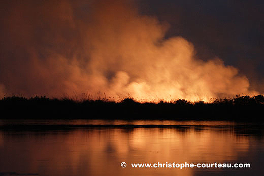 Feu de brousse la nuit. Delta de l'Okavango.