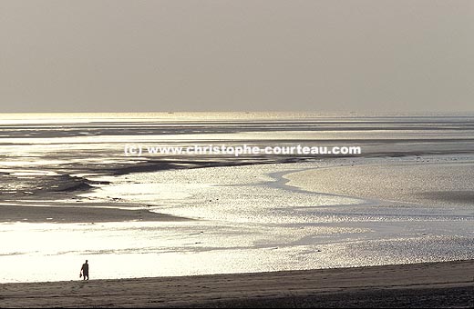 Walk in the magnificent light of the Bay of the Mont-Saint-Michel