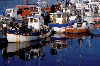 Port de pêche de Concarneau. Petite pêche (artisanale)