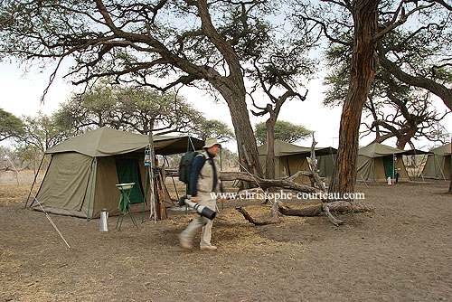 Camp de brousse. Départ tôt le matin  pour un safari photo.