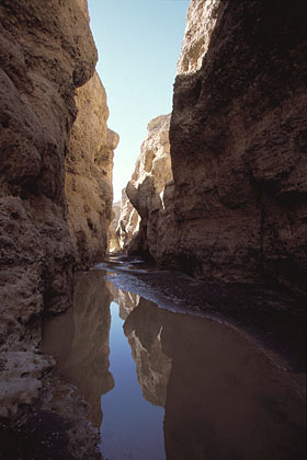 Le Canyon de Sessriem aprs la saison des pluies / Namib