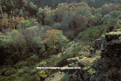 Le Val sans Retour à l'automne / Forêt de Brocéliande