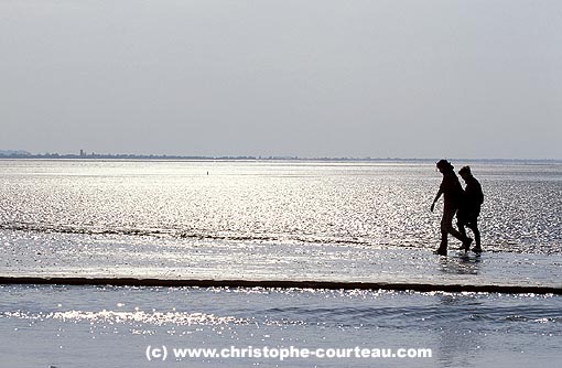 Promeneuse à marée basse en baie du Mont-st-Michel