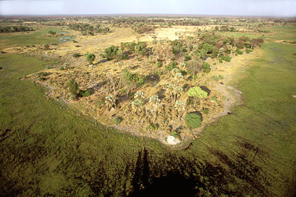 Delta de l'Okavango. Photo aérienne des îles à la saison sèche
